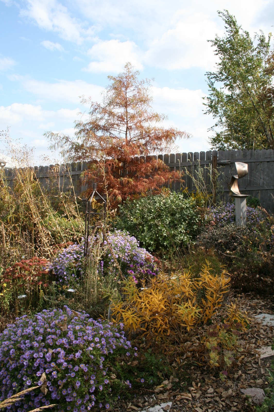 fall 2011