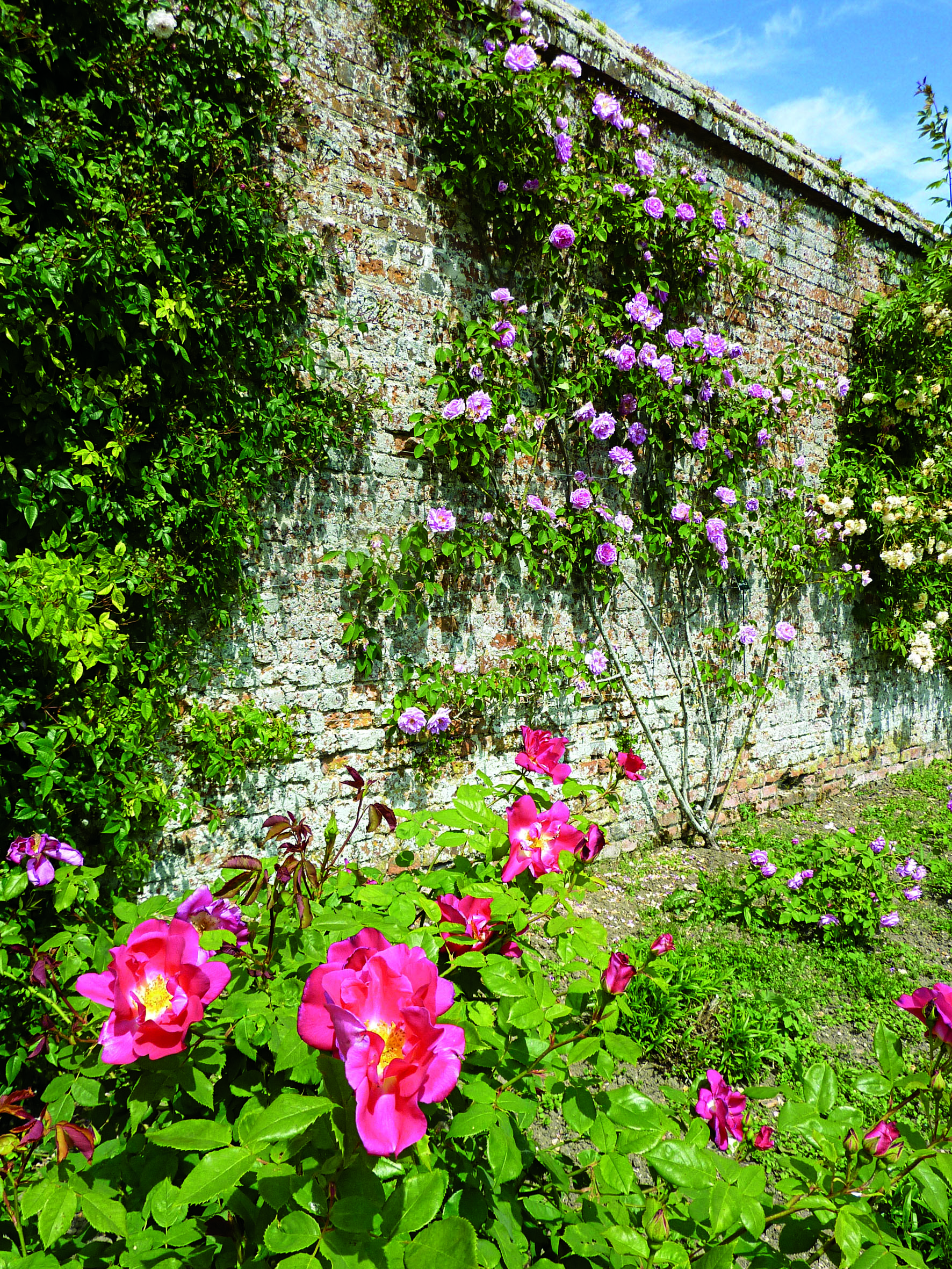 © Highclere Castle 2014
