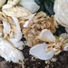 http://gardengrab.co.uk/post/58785230665