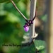 http://gardengrab.co.uk/post/55691351503
