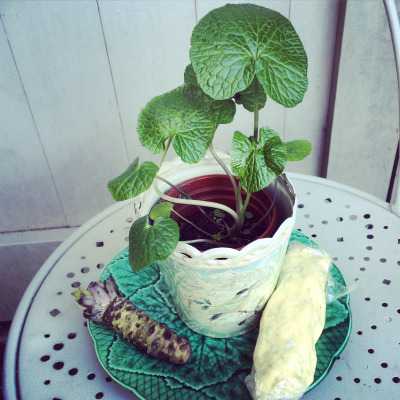 experiment-with-something-different-in-the-veg