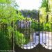 http://gardengrab.co.uk/post/52546478241