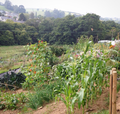 roxys-allotment