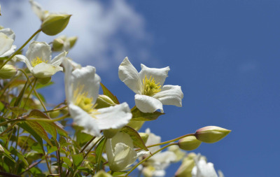 only-got-10-minutes-to-be-a-gardener-this-week