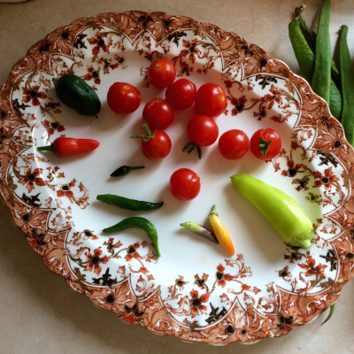 why-chillies-are-the-perfect-grow-your-own-plants