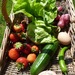 http://gardengrab.co.uk/post/54854033243