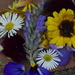 http://gardengrab.co.uk/post/58834558290