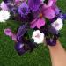 http://gardengrab.co.uk/post/44635774590