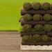 http://gardengrab.co.uk/post/57640833947