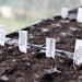 http://gardengrab.co.uk/post/43003440425