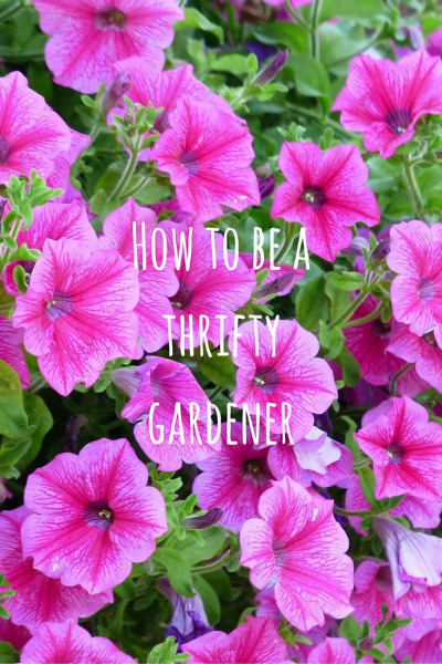 how-to-be-a-thrifty-gardener