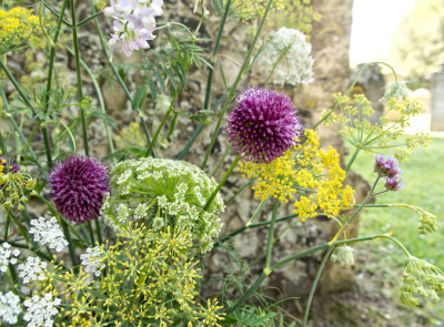 cut-flowers-in-may