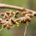 http://gardengrab.co.uk/post/71136703530