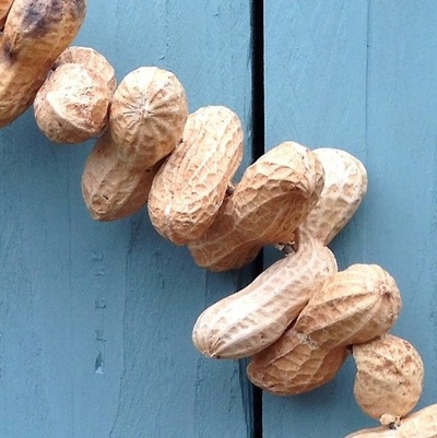 bird-feeder-wreath-make-your-own-using-wire