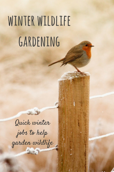 wildlife-gardening-jobs-for-winter-with-the-10