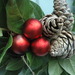 http://gardengrab.co.uk/post/66478379817