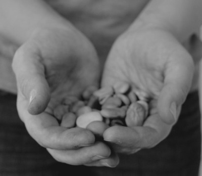 broad-beans