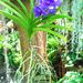 http://gardengrab.co.uk/post/43552073767
