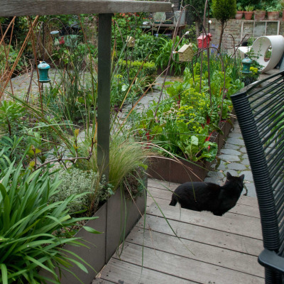 raised-beds