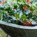 http://gardengrab.co.uk/post/70913175504