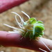 http://gardengrab.co.uk/post/66690786752
