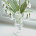 http://gardengrab.co.uk/post/43357474415