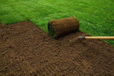 garden-clearance-advice-and-tips
