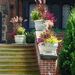 http://gardengrab.co.uk/post/58932364866