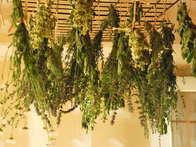enjoy-homegrown-herbs-all-year-round-with-these