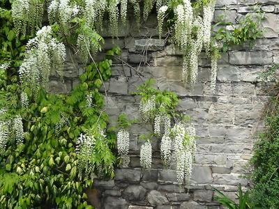 modern-art-in-a-formal-garden