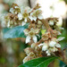 http://gardengrab.co.uk/post/67164798651