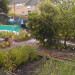 http://gardengrab.co.uk/post/42799958332