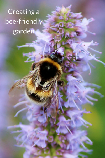 no-matter-how-small-your-garden-you-can-do-your