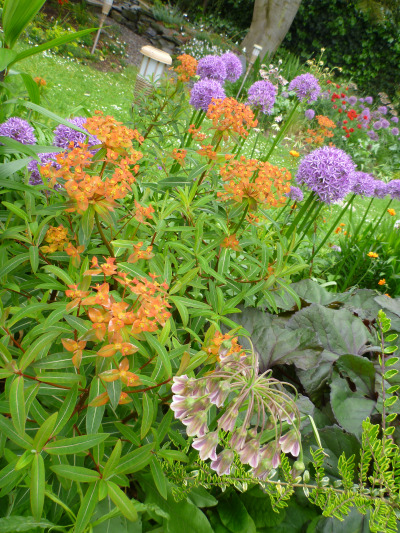 chelsea-flower-show