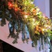 http://gardengrab.co.uk/post/70913196184