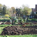http://gardengrab.co.uk/post/67170467363