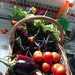 http://gardengrab.co.uk/post/58733482563