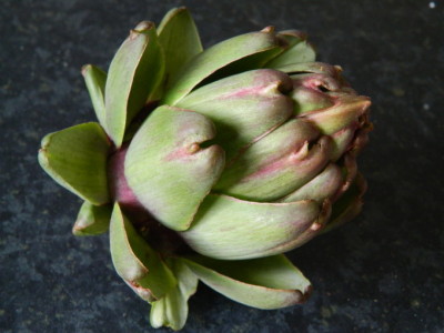 globe-artichokes-how-to-cook-and-how-to-eat-them