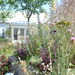http://gardengrab.co.uk/post/55296683549