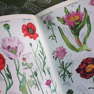 old-wild-flower-books