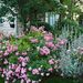 http://gardengrab.co.uk/post/54778894158