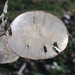 http://gardengrab.co.uk/post/71998698746