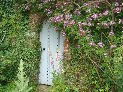 creating-intrigue-in-a-garden