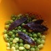 http://gardengrab.co.uk/post/55519715615