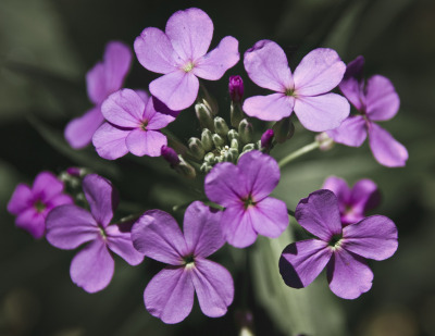a-guide-to-crops-that-you-can-sow-in-july-for