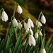 http://gardengrab.co.uk/post/44406451644