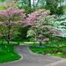 http://gardengrab.co.uk/post/45205502998