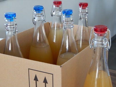 elderflower-champagne-recipe