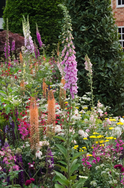 only-got-10-minutes-to-spare-for-gardening-keep
