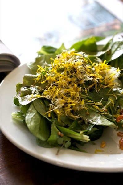 wild-food